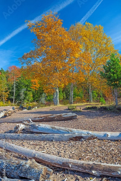 Obraz Changing Colors on a Remote Great Lakes Shore