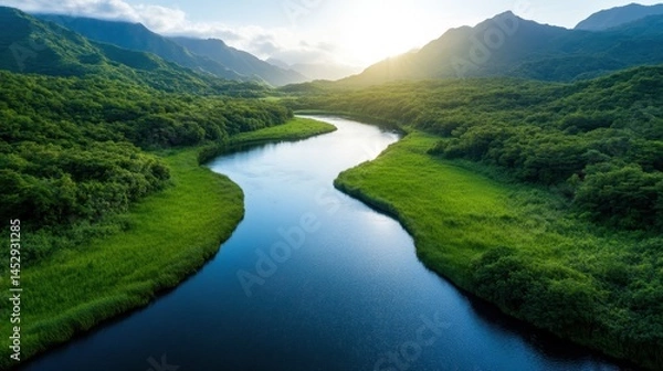 Fototapeta A stunning view of a winding river flowing through a rich green landscape, nestled between majestic mountains, embodying nature's untouched beauty and serenity.
