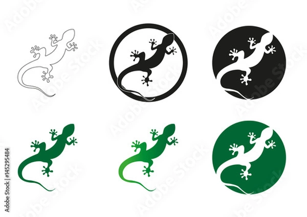 Fototapeta Gecko vector illustration isolated on a white background