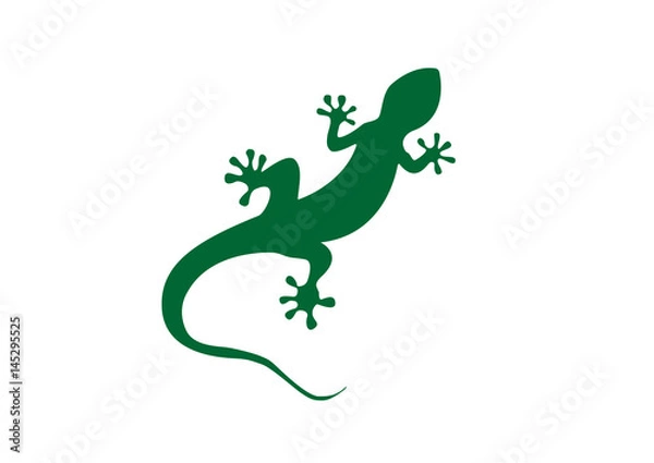 Fototapeta Gecko vector illustration isolated on a white background