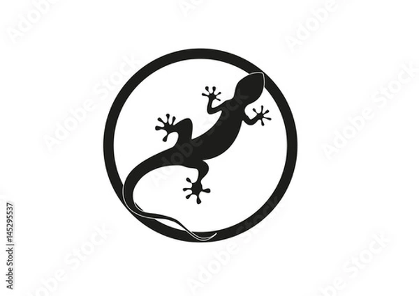 Fototapeta Gecko vector illustration isolated on a white background