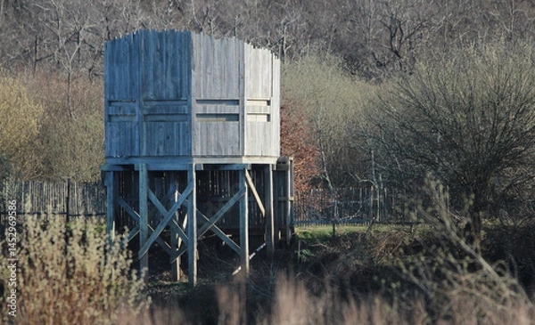 Obraz tour d'observation