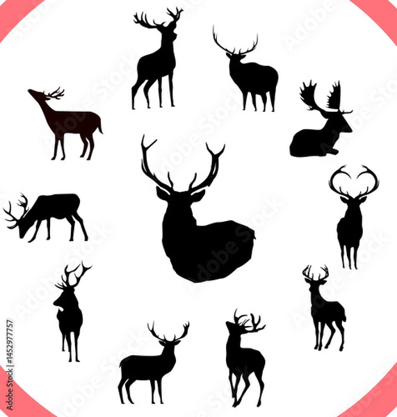 Fototapeta A collection of 11 deer silhouettes elements isolated over white background.elements of sitting and standing deer with different postures ready to use and editable for various artworks.wildlife icons.