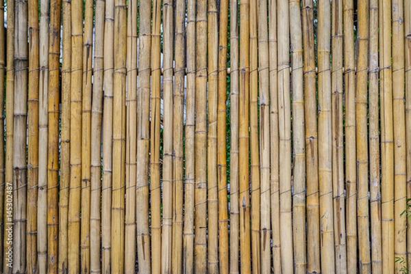 Fototapeta bamboo wall texture background