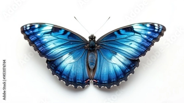 Fototapeta Stunning blue butterfly with vibrant intricate wings resting in a captivating natural setting  This delicate and ethereal creature showcases the beauty and wonder of the natural world