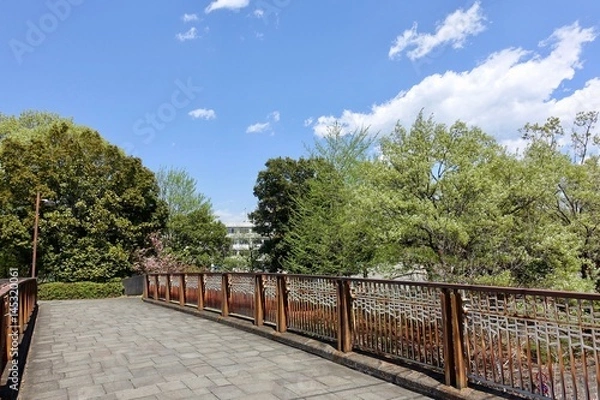 Fototapeta 多摩の新緑