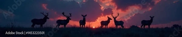 Fototapeta Several dark deer silhouettes in a field, night scene, ranch, farm
