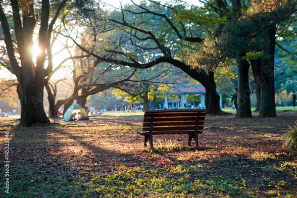 Obraz take a break at park