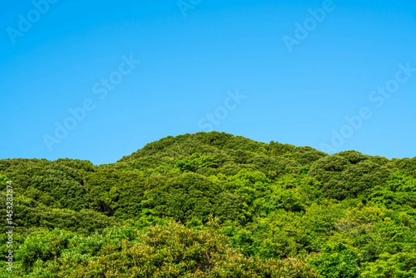 Obraz 新緑の山と青空