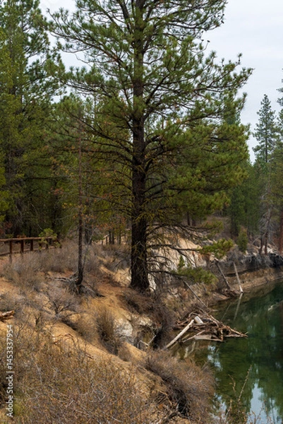 Fototapeta The Deschutes River meanders through La Pine State Park in central Oregon, USA.