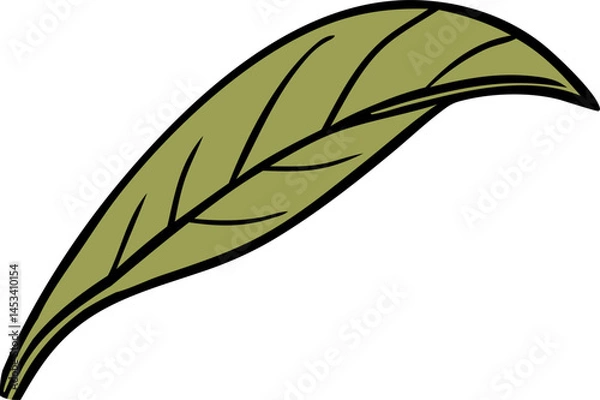 Obraz green leaf isolated on white