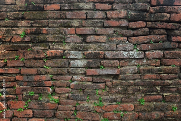 Fototapeta old brick wall