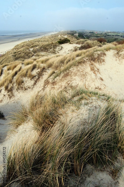 Fototapeta bredene plage