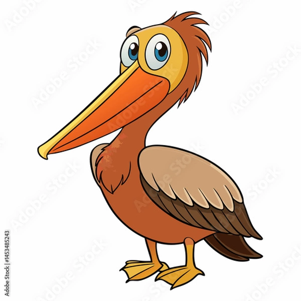Fototapeta vector illustration of a pelican