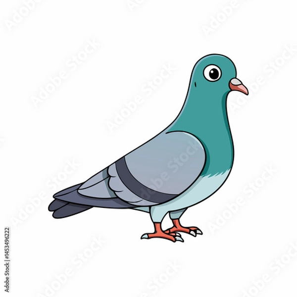 Obraz vector illustration of a pigeon  bird