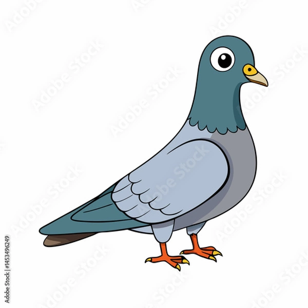 Obraz vector illustration of a pigeon  bird