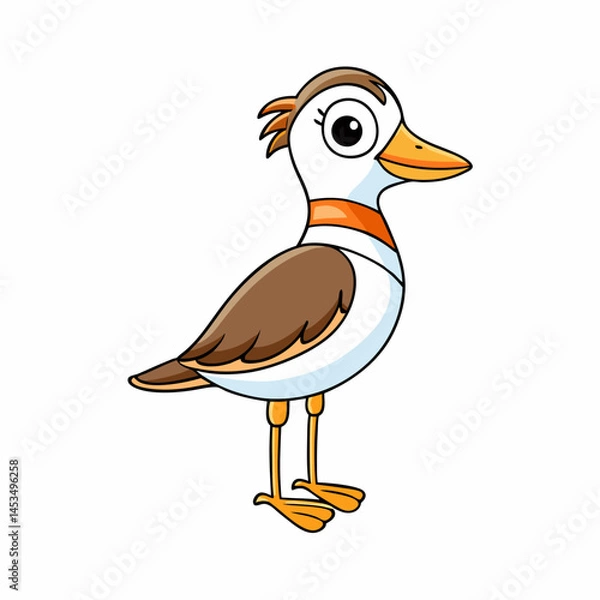 Obraz illustration of a plover  bird