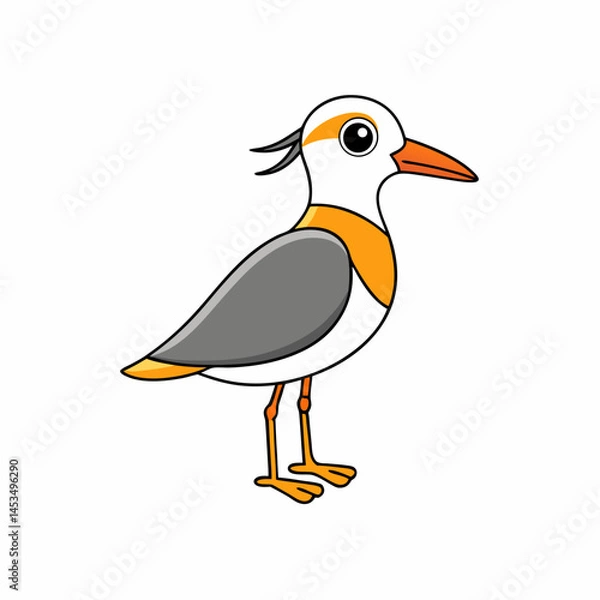 Obraz illustration of a plover  bird