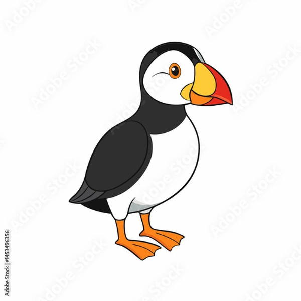 Obraz puffin  cartoon isolated on white