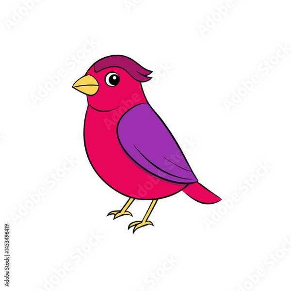 Obraz purple  finch  on branch