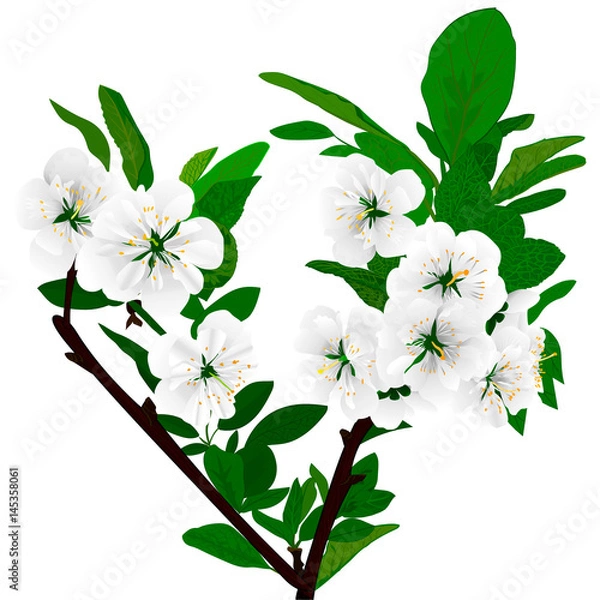 Fototapeta fantasy flower garden spring