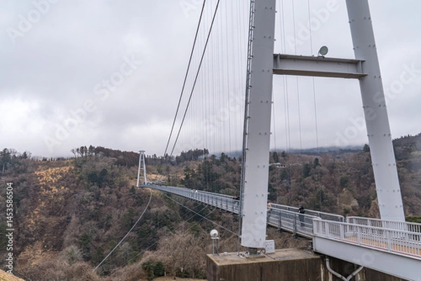 Obraz 大分県の巨大な吊り橋から見る雄大な自然