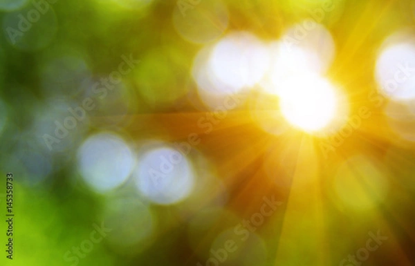 Obraz Green blurred background