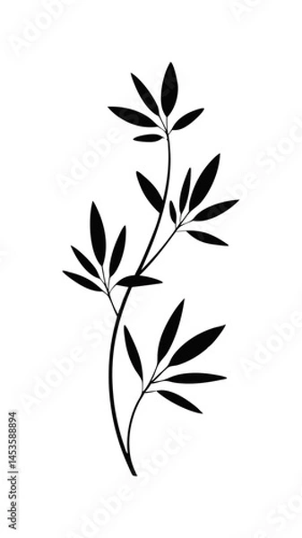 Fototapeta Minimal botanical leaf silhouette illustration of elegant branch with foliage