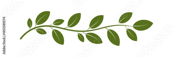 Obraz Green Botanical Leaf Vine Divider. Nature Plant Branch Clipart Vector Art
