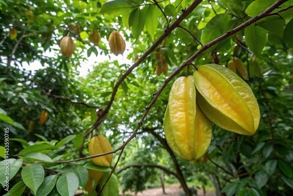 Obraz green leaves of a tree