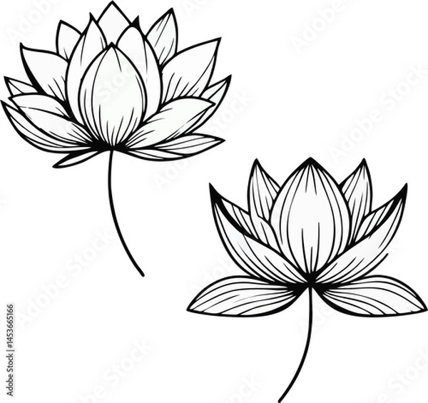 Fototapeta Minimalist line art of a white lotus flower, thin black lines on a white background