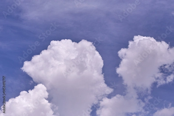 Fototapeta The sky is blue and clear with no clouds.