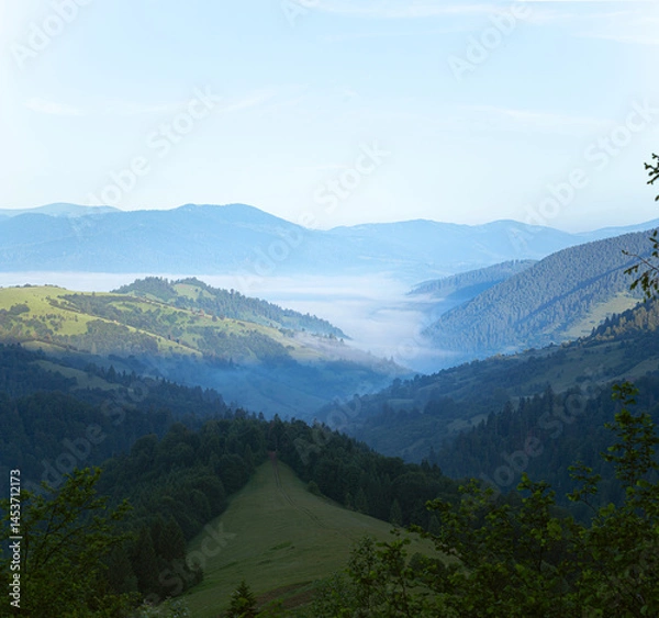 Fototapeta The Misty Carpathian mountain range in the morning.