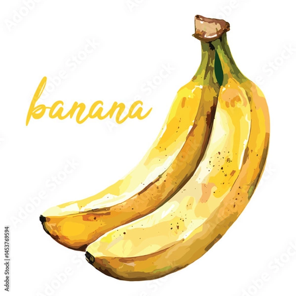 Obraz banana in watercolor illustration style, isolated vector on white background