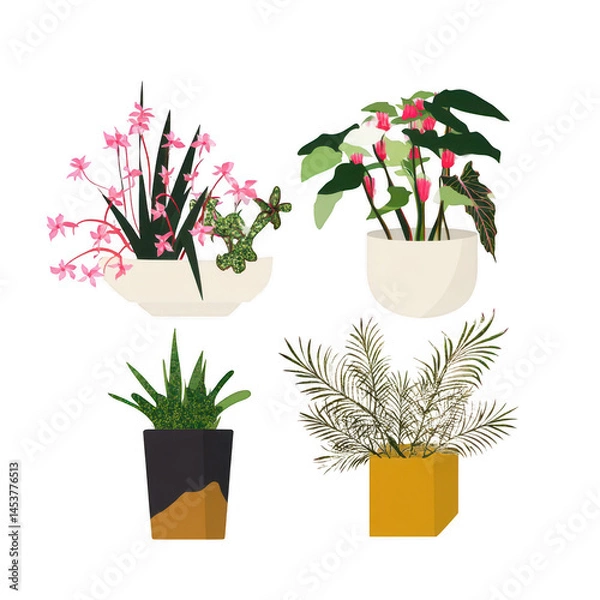 Fototapeta Colorful Collection of Potted Plants Featuring Orchids, Succulents, and Ferns in Modern Decorative Containers for Home and Office Spaces