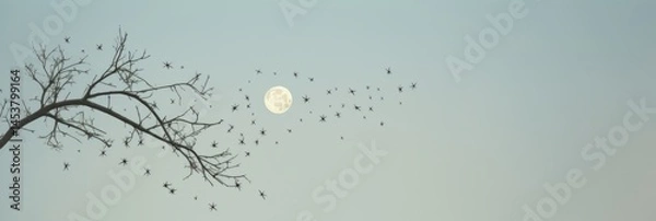 Obraz Silhouette of sparse tree branches with delicate birds under a luminous full moon in a tranquil pale sky, capturing a serene nature scene