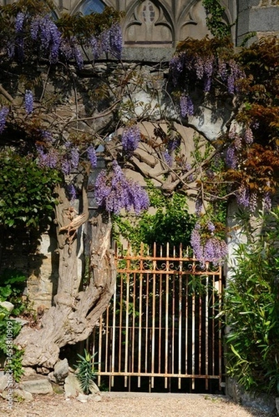 Obraz Porte sortie jardin