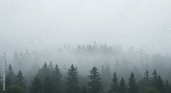 Fototapeta Misty Mountain Forest: A Serene Landscape