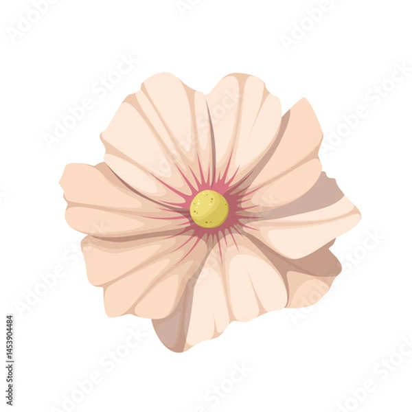 Obraz Beige flower on a white background. Vector.
