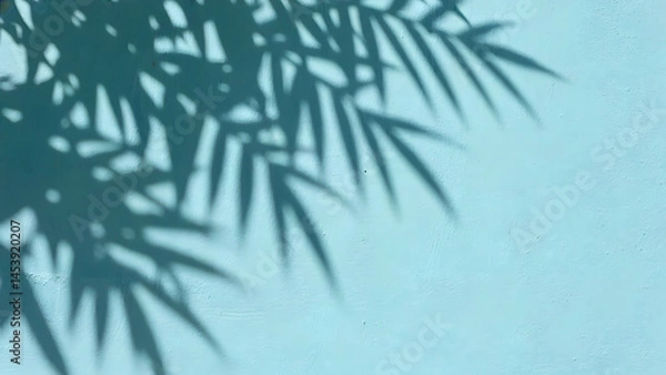 Fototapeta Shadows of tree branches on a green wall