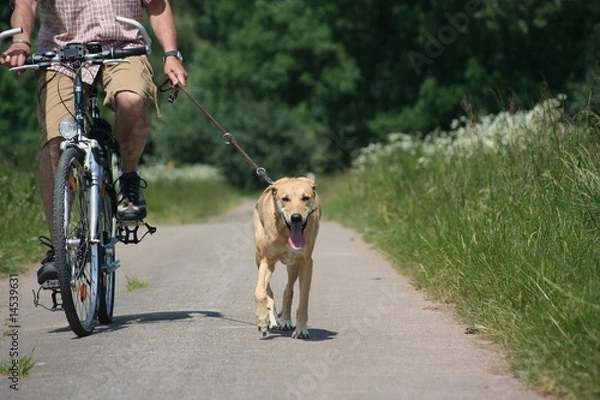 Obraz Radtour mit Nina 5