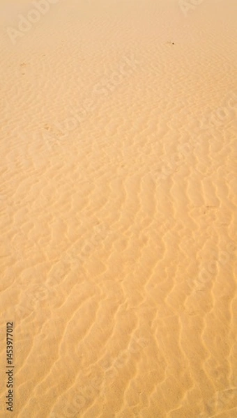 Fototapeta A sea of golden sand stretches across the frame, shaped by the wind into gentle, rippling patterns.