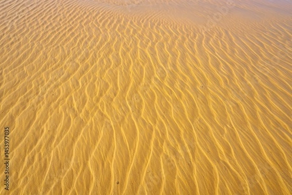 Obraz Sand dune ripples create a mesmerizing pattern, showcasing the wind's artistry on the desert's canvas.