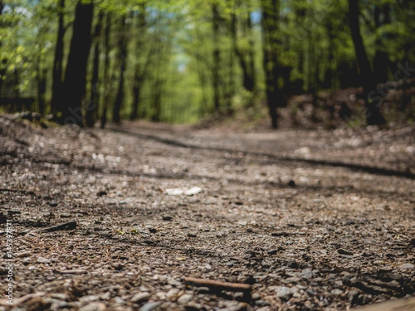 Fototapeta rock focus pathway