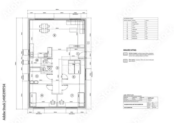 Obraz house on architect drawing