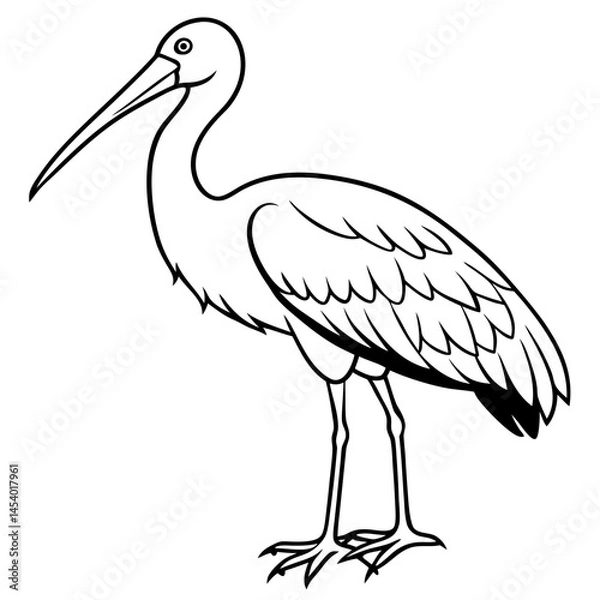 Fototapeta Minimal Asian Openbill Vector on White