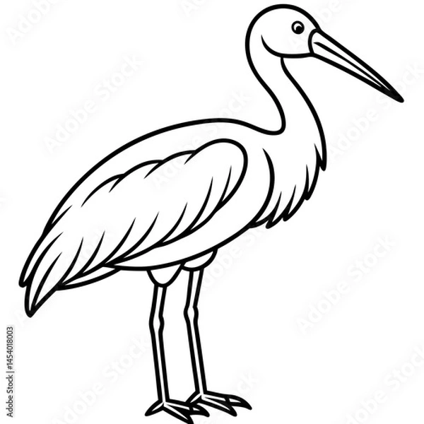 Fototapeta Minimal Asian Openbill Vector on White