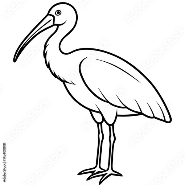 Fototapeta Minimal Asian Openbill Vector on White