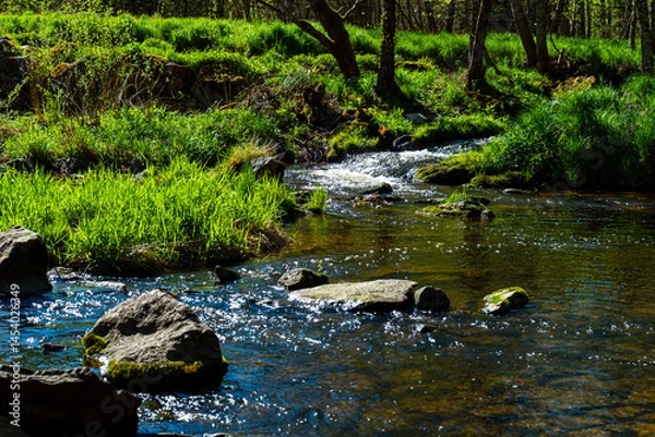 Obraz Hiking on the Wolfensteiner Ohe in the bavarian Forests Germany