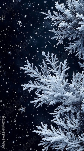 Obraz Snowy branches against a dark night sky.